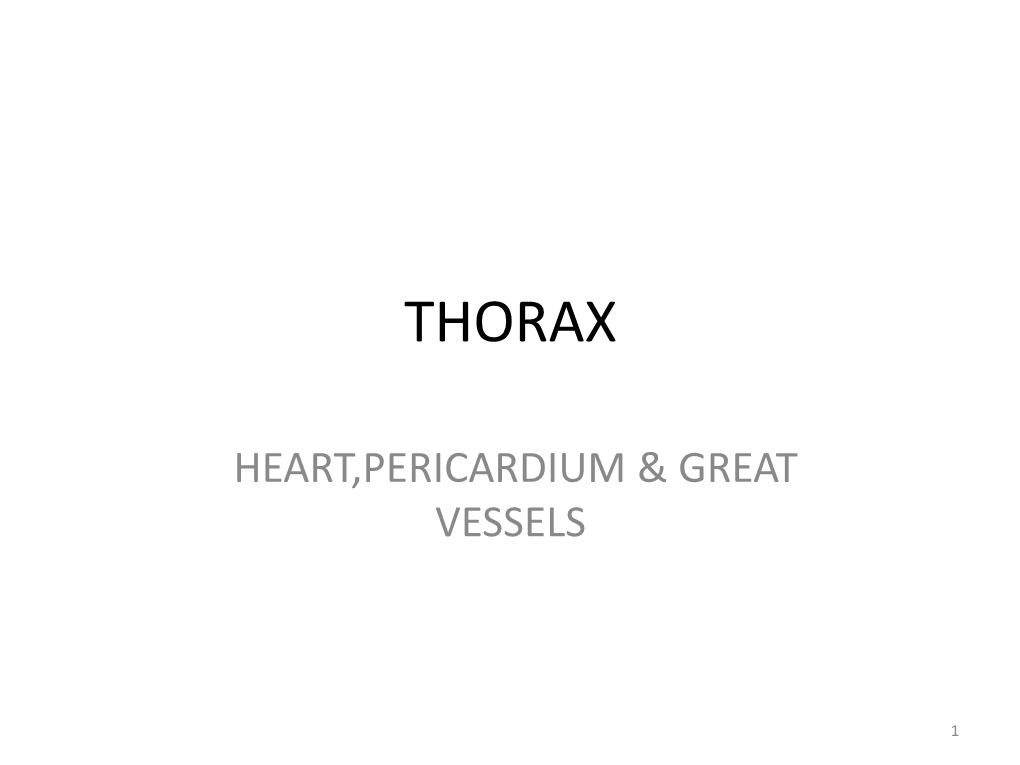 Pericardial Cavity & Sinuses