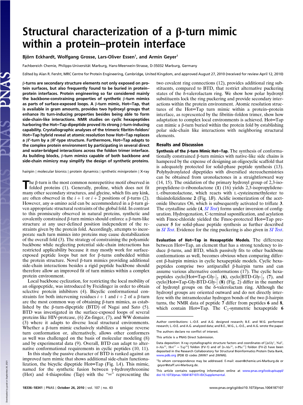 Structural Characterization of a Β-Turn Mimic Within a Protein–Protein Interface