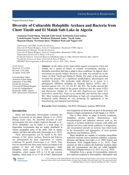 Diversity of Culturable Halophilic Archaea and Bacteria from Chott Tinsilt and El Malah Salt-Lake in Algeria