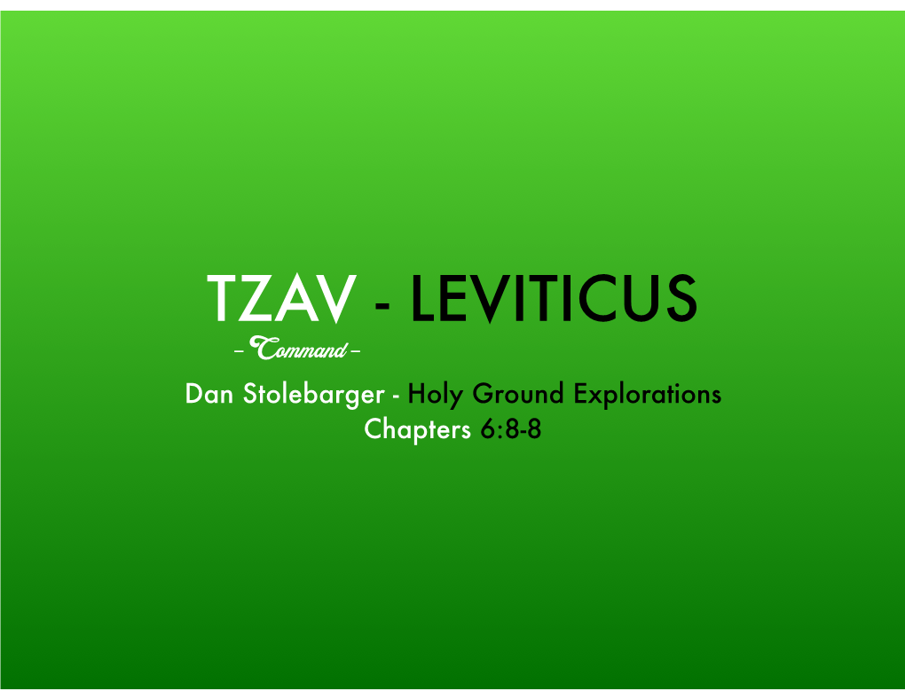 TZAV (Leviticus 6-8) Copy