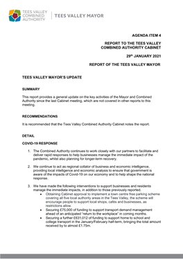 Tees Valley Mayor's Update Report