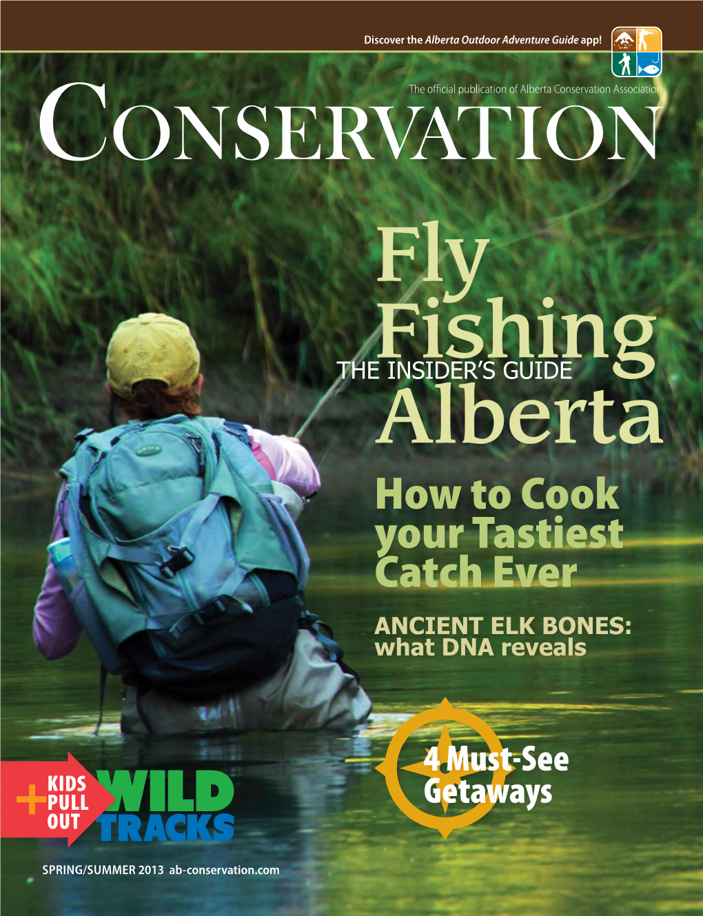 Fly Fishing Alberta Fly Fishing Alberta