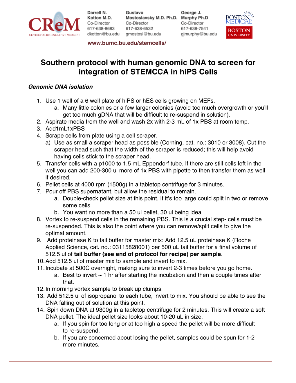 Southern Protocol with Human Genomic DNA to Screen for Integration of STEMCCA in Hips Cells