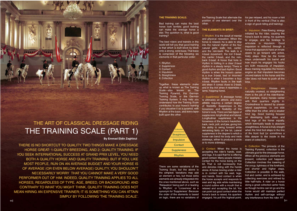 The Training Scale