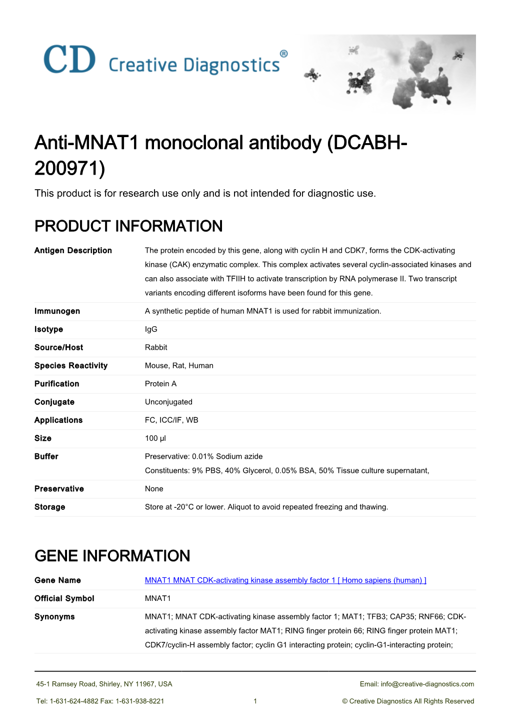 Anti-MNAT1 Monoclonal Antibody (DCABH- 200971) This Product Is for Research Use Only and Is Not Intended for Diagnostic Use