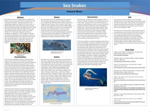 Sea Snakes You Can Easily Change the Color Theme of Your Poster by Going to the Presentation Poster