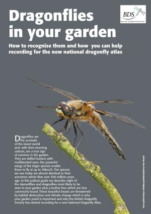 Dragonflies in Your Garden How to Recognise Them and How You Can Help Recording for the New National Dragonfly Atlas