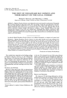 The Diet of Chesapeake Bay Ospreys and Their Impact on the Local Fishery