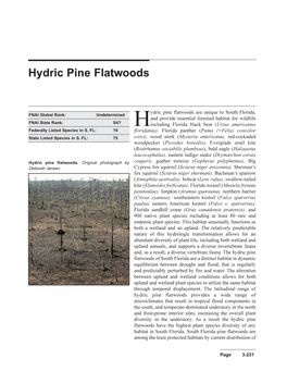 Hydric Pine Flatwoods Are Unique to South Florida