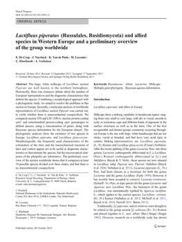 Lactifluus Piperatus (Russulales, Basidiomycota) and Allied Species in Western Europe and a Preliminary Overview of the Group Worldwide