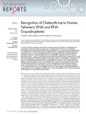 Recognition of Chelerythrine to Human Telomeric DNA and RNA G
