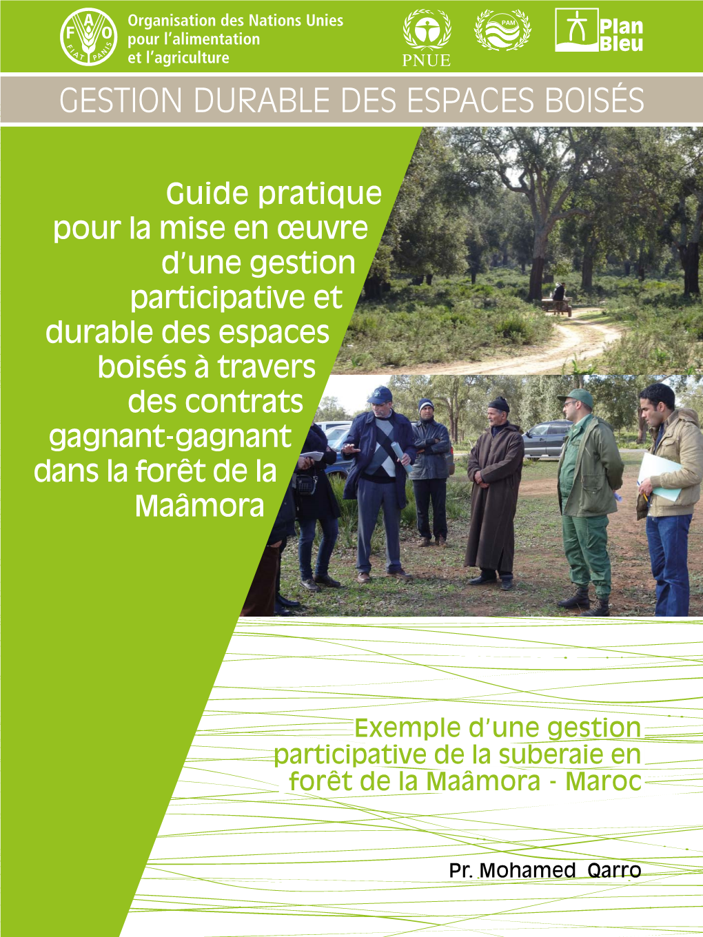 Guide Pratique Pour La Mise En Œuvre D'une Gestion Participative Et