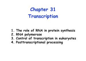 1. the Role of RNA in Protein Synthesis 2. RNA Polymerase 3. Control of Transcription in Eukaryotes 4