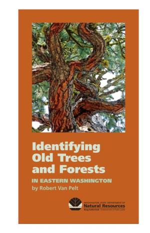 Identifying Old Trees and Forests