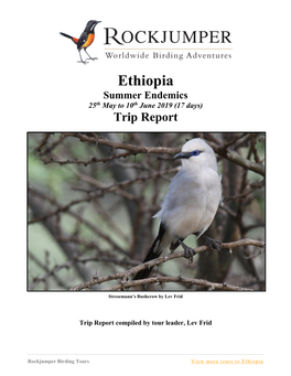 Ethiopia Summer Endemics 25Th May to 10Th June 2019 (17 Days) Trip Report
