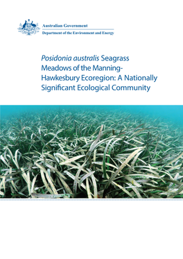 Posidonia Australis Seagrass Meadows of the Manning