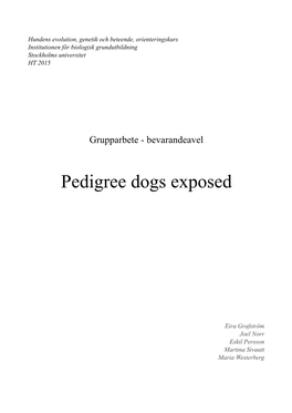 Pedigree Dogs Exposed