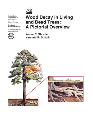 Wood Decay in Living and Dead Trees: a Pictorial Overview