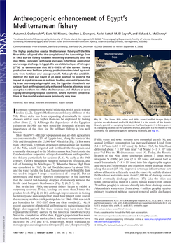 Anthropogenic Enhancement of Egypt's Mediterranean Fishery