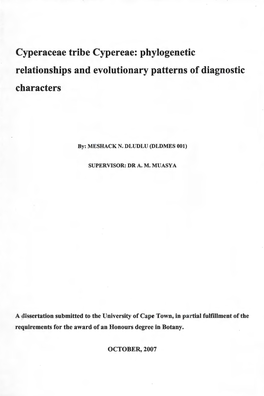 Cyperaceae Tribe Cypereae: Phylogenetic Relationships and Evolutionary Patterns of Diagnostic Characters