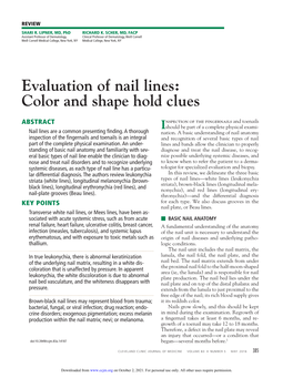 Evaluation of Nail Lines: Color and Shape Hold Clues