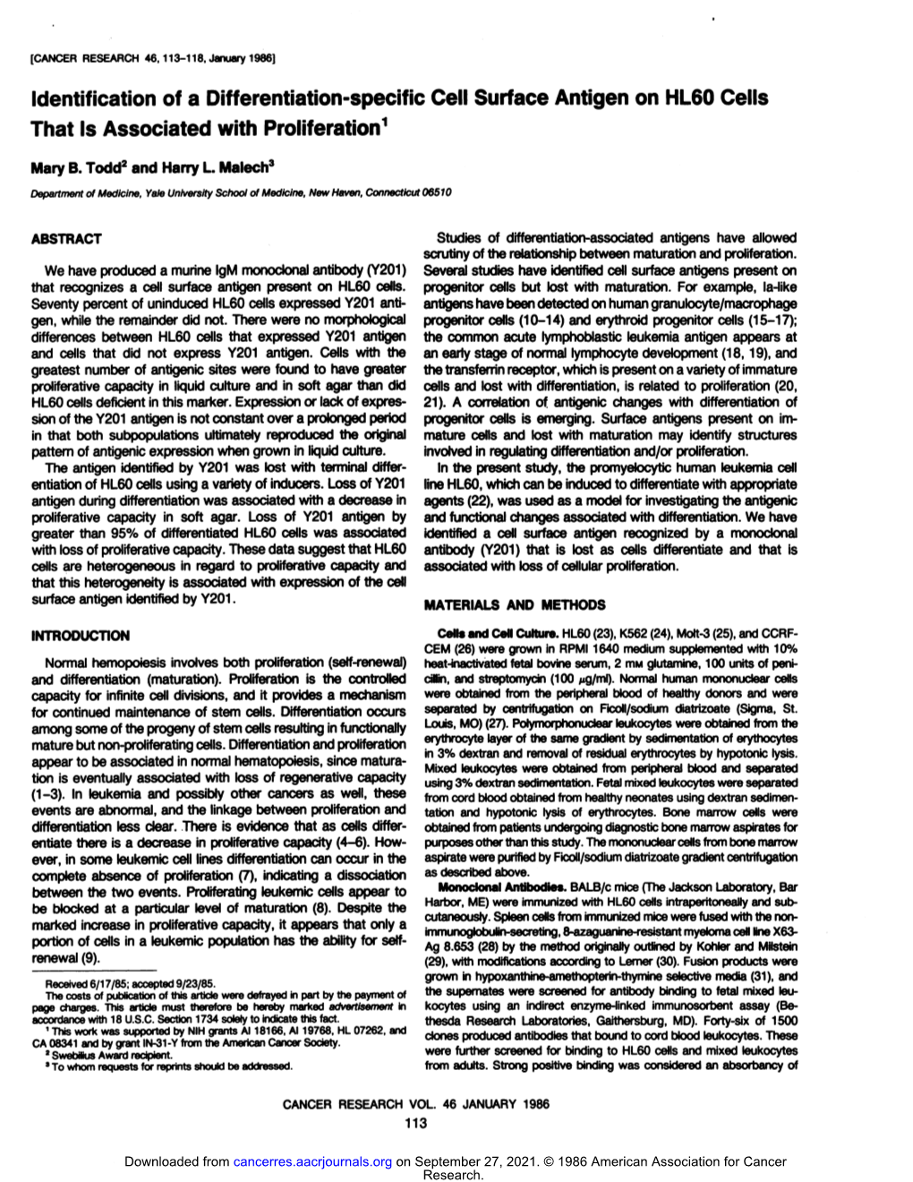 Identification of a Differentiation-Specific Cell Surface Antigen on HL60 Cells That Is Associated with Proliferation1