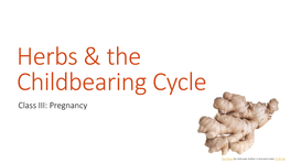 Herbs & the Childbearing Cycle