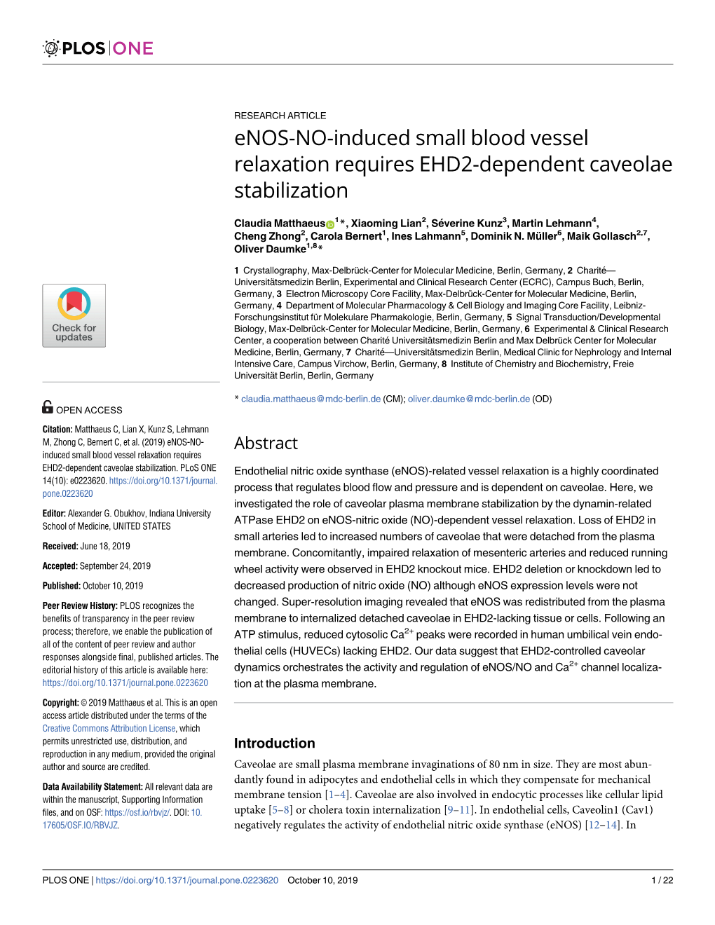 Enos-NO-Induced Small Blood Vessel Relaxation Requires EHD2-Dependent Caveolae Stabilization