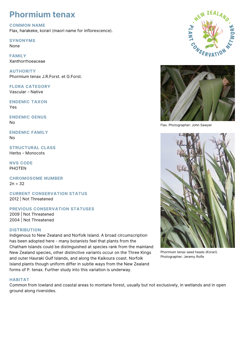 Phormium Tenax