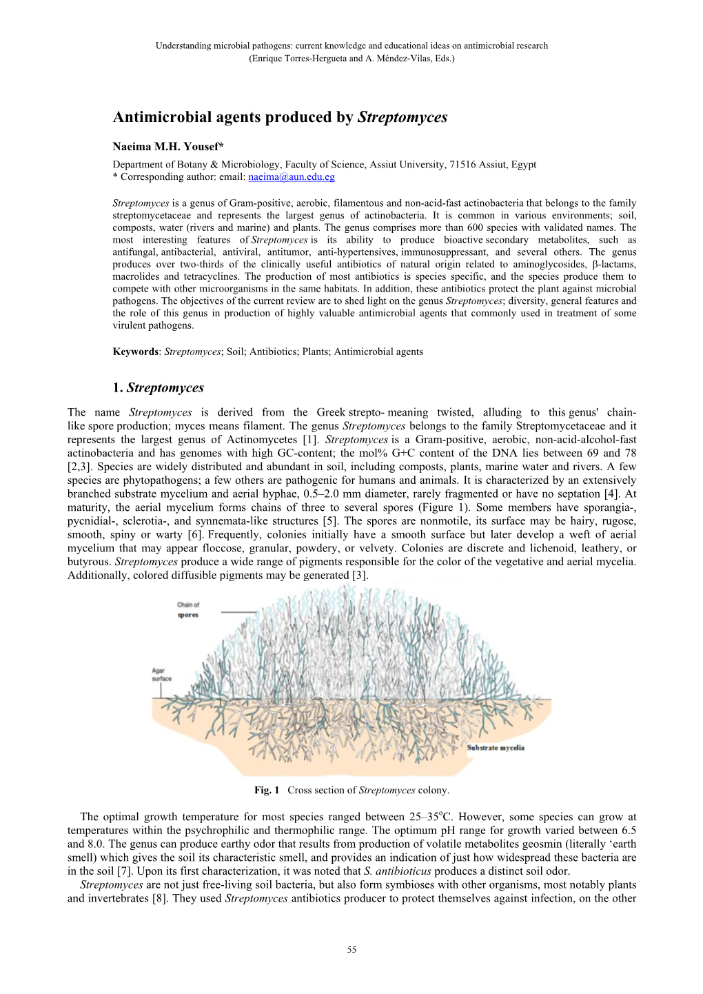 Antimicrobial Agents Produced by Streptomyces