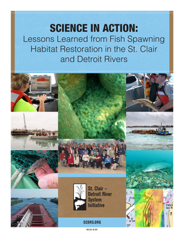 Lessons Learned from Fish Spawning Habitat Restoration in the St