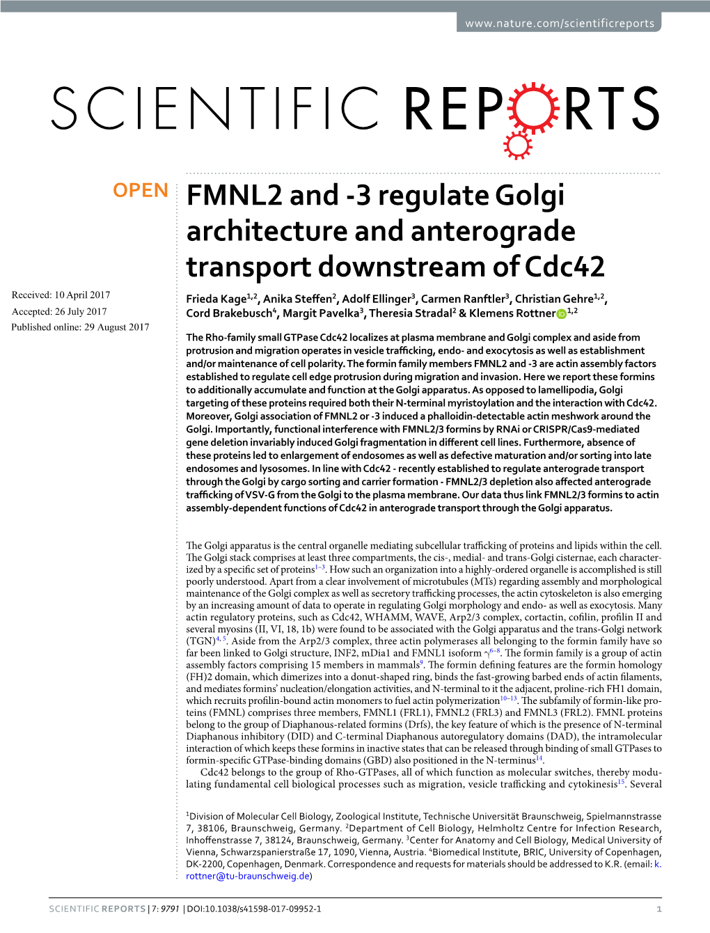 FMNL2 and -3 Regulate Golgi Architecture and Anterograde