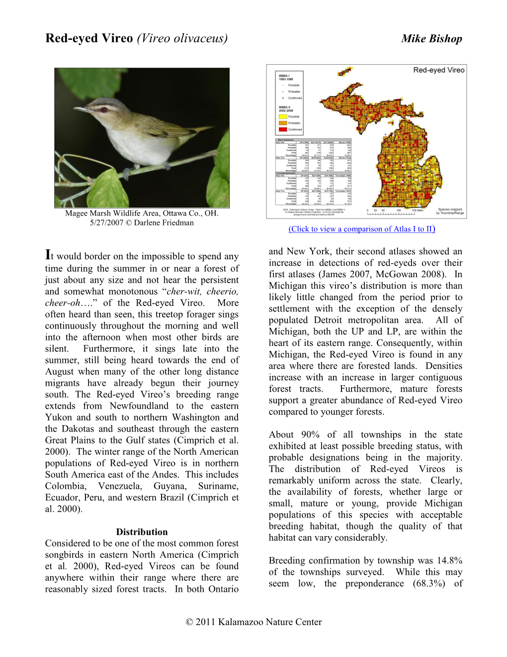 Red-Eyed Vireo (Vireo Olivaceus) Mike Bishop