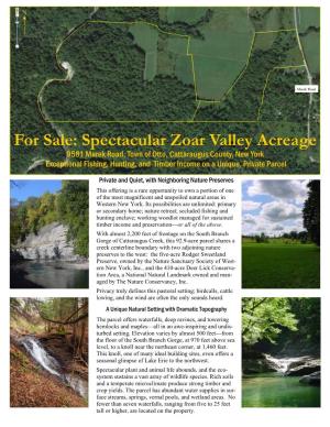 For Sale: Spectacular Zoar Valley Acreage
