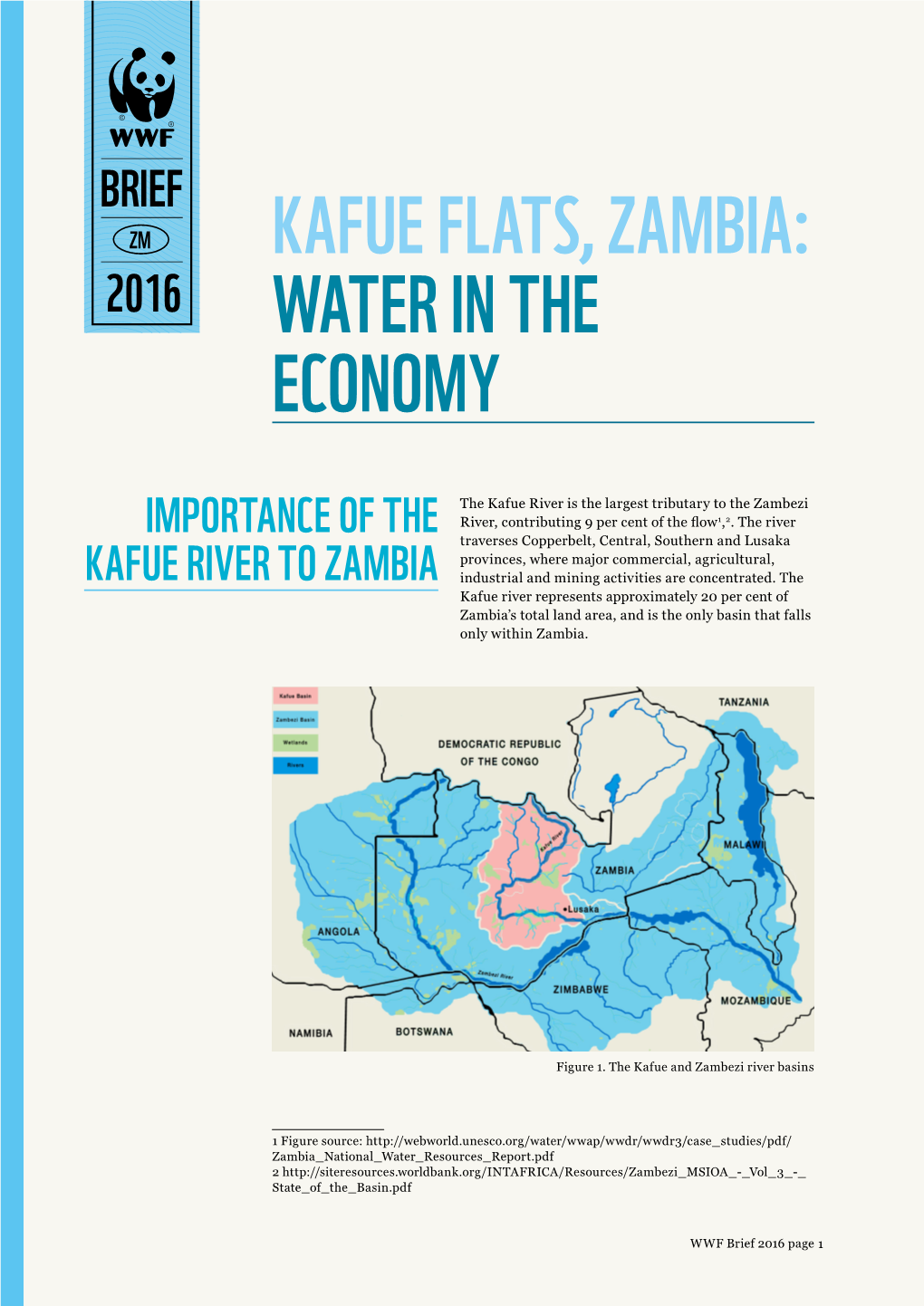 Kafue Flats, Zambia: 2016 Water in the Economy