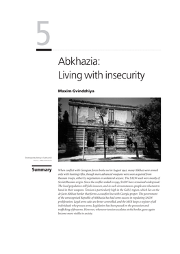 5 Abkhazia: Living with Insecurity