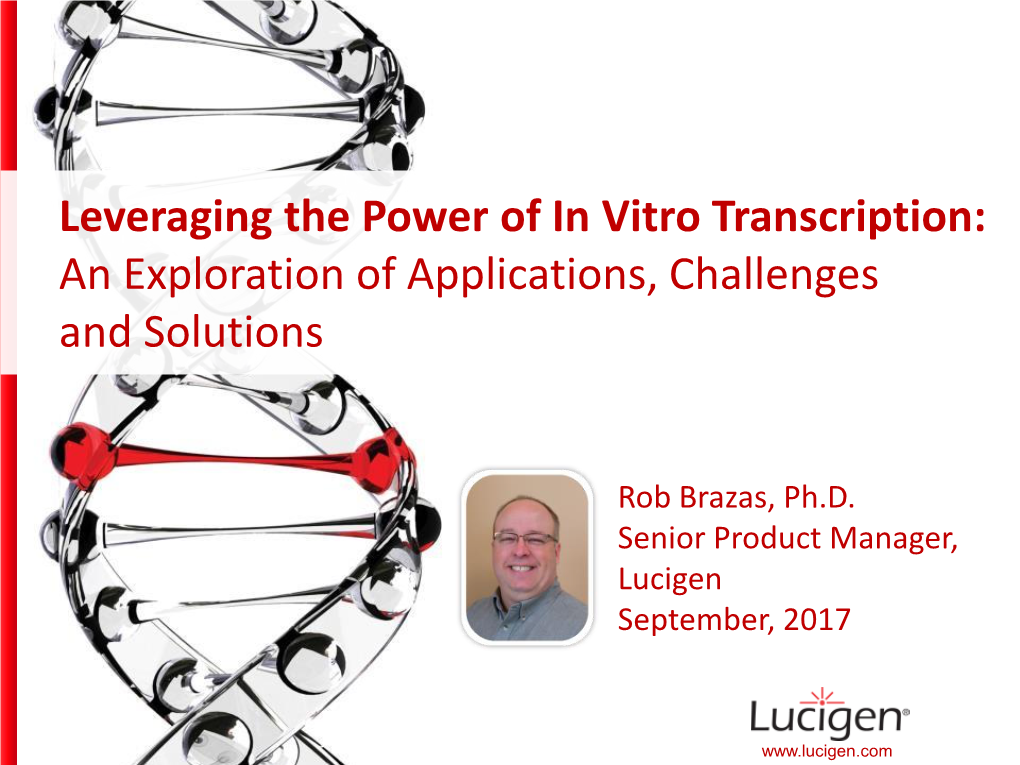 Leveraging the Power of in Vitro Transcription: an Exploration of Applications, Challenges and Solutions