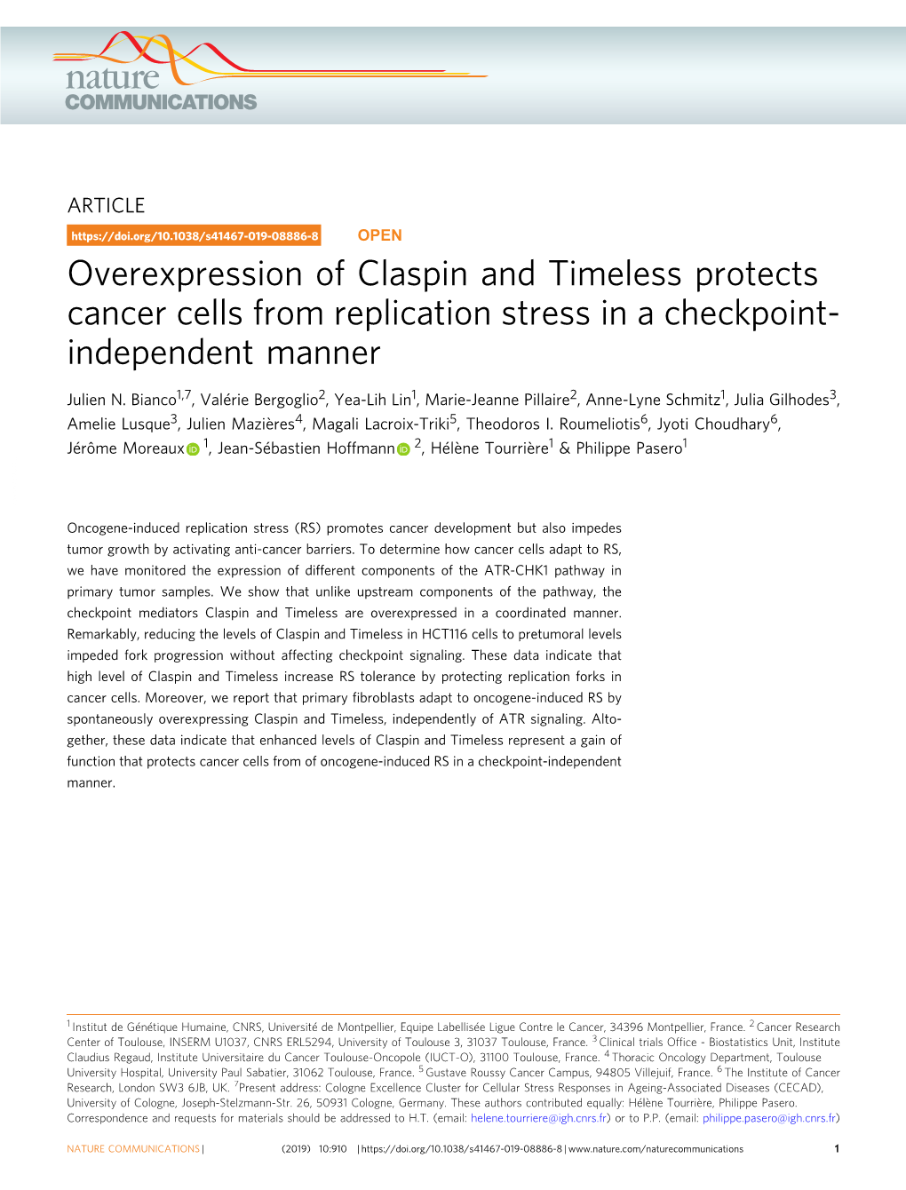 Overexpression of Claspin and Timeless Protects Cancer Cells from Replication Stress in a Checkpoint- Independent Manner