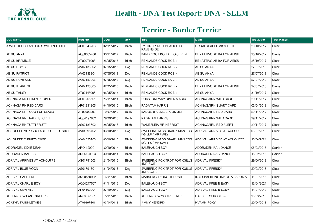 DNA Test Report: DNA - SLEM