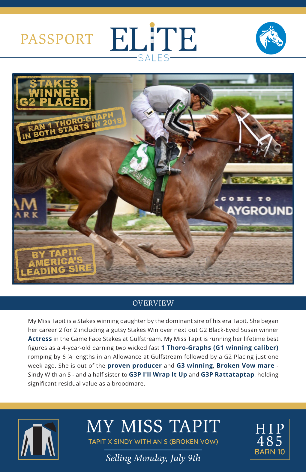 My Miss Tapit Is a Stakes Winning Daughter by the Dominant Sire of His Era Tapit
