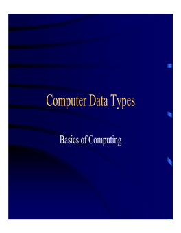 Computer Data Types
