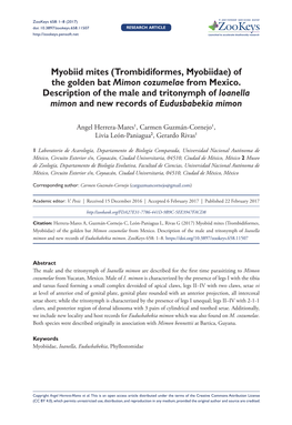 Myobiid Mites (Trombidiformes, Myobiidae) of the Golden Bat Mimon