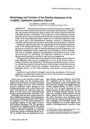 Morphology and Function of the Feeding Apparatus of the Lungfish, Lepidosiren Paradoxa (Dipnoi)