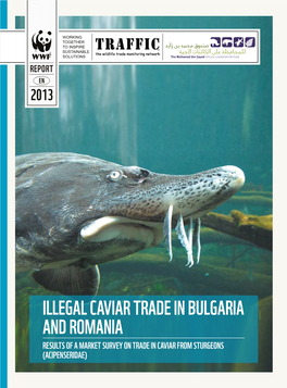 Illegal Caviar Trade in Bulgaria and Romania (2013)