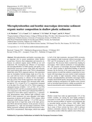 Microphytobenthos and Benthic Macroalgae Determine Sediment