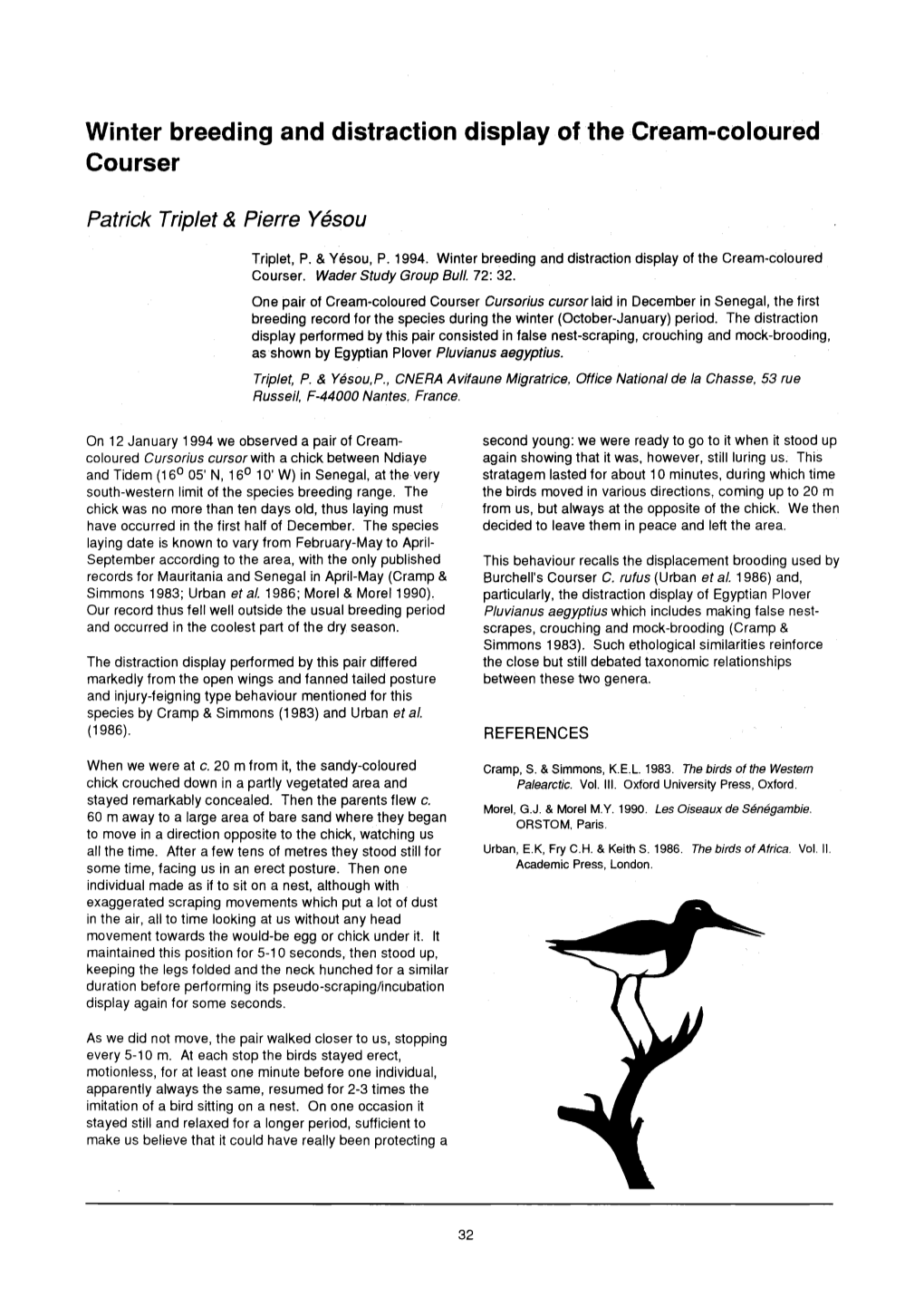 Winter Breeding and Distraction Display of the Cream&Hyphen;Coloured Courser