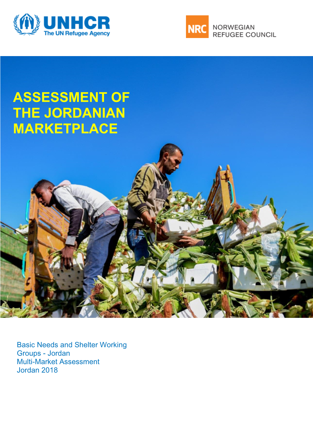 Assessment of the Jordanian Marketplace