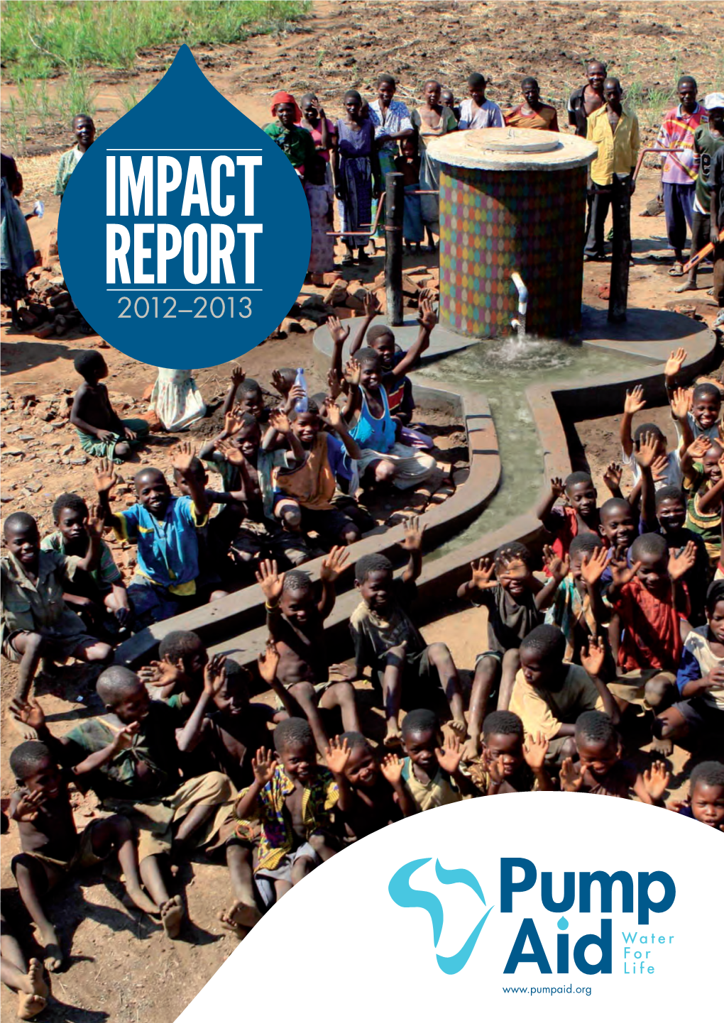 Impact Report 2012–2013 FOREWORD