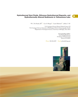 Documented in New Zealand Hydrothermal Systems ( Jones and Renaut 1996; Jones Et Al