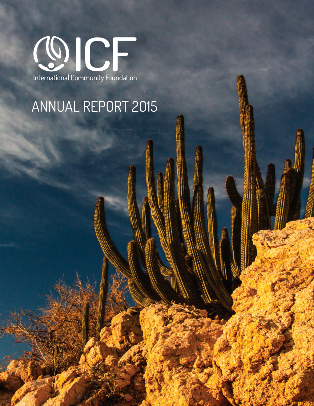 Annual Report 2O15